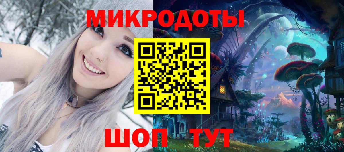 Галлюциногенные грибы Psilocybine cubensis Новошахтинск